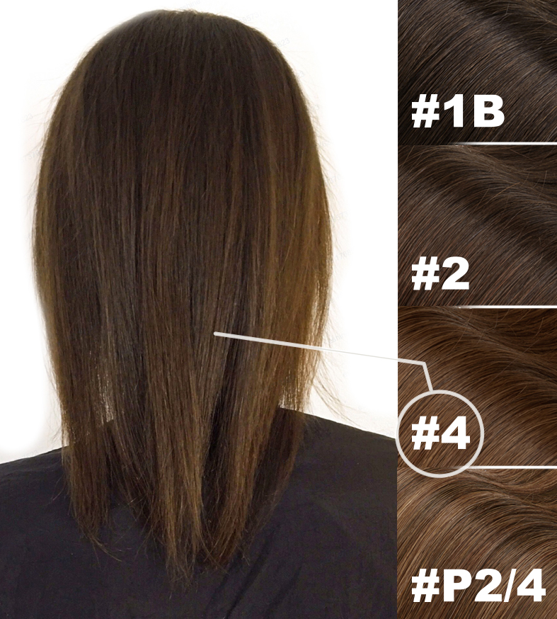 Guide des couleurs pour extensions capillaires avec différentes teintes brunes, montrant la correspondance de la couleur #4 sur des cheveux naturels vus de dos